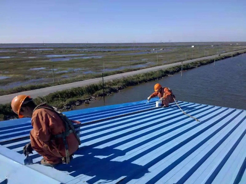 沂南钢结构屋面漏水原因